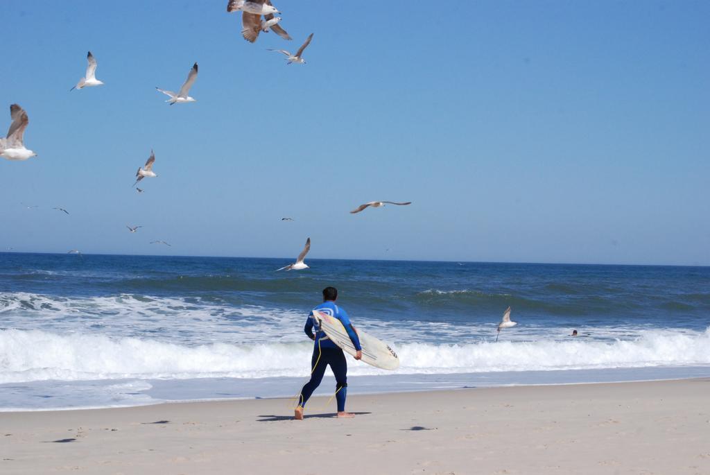 شقة Furadouro Surf Camp أوفار المظهر الخارجي الصورة
